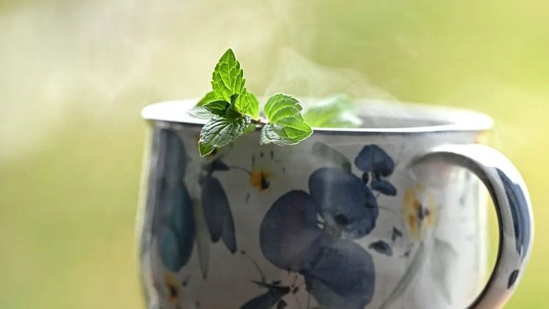 A reggeli tea veszélyei: mikroműanyagokkal indulhat a nap, ha nem figyelünk