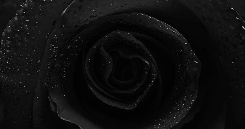 Rejtélyes poszt után: a koreai sztár tragikus végzete