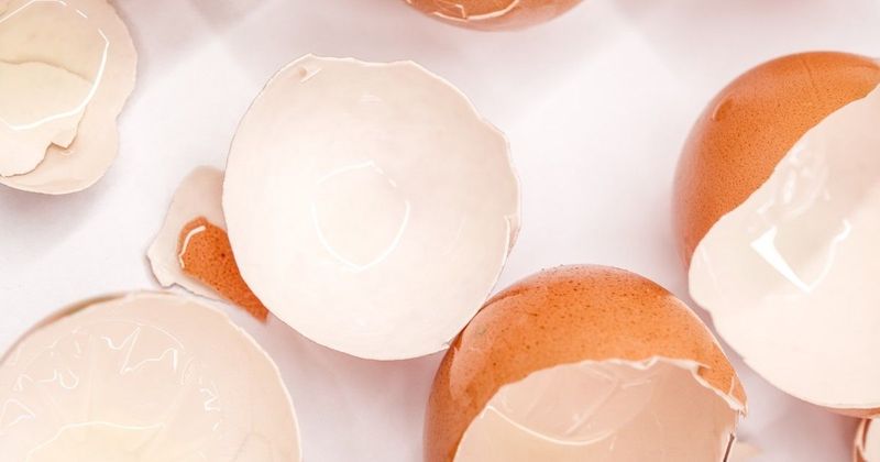 Fedezd fel a tojáshéj titkos erejét: Ne dobd ki, használd fel!