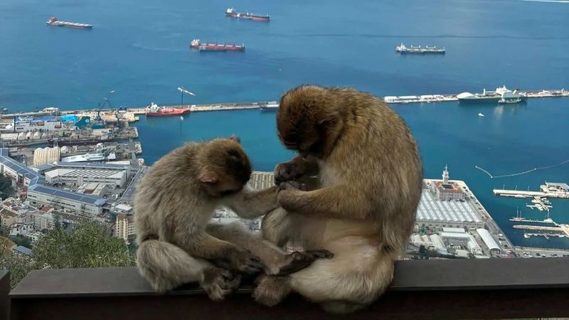 Fazekas Ivett titkai: Így varázsol el Málaga tavasszal!