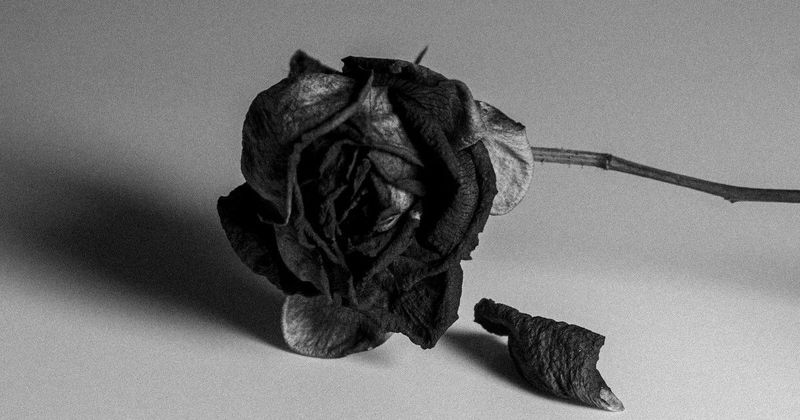 Pozsonyi rémálom: Mi történt a negyedik emeleti zuhanás mögött?