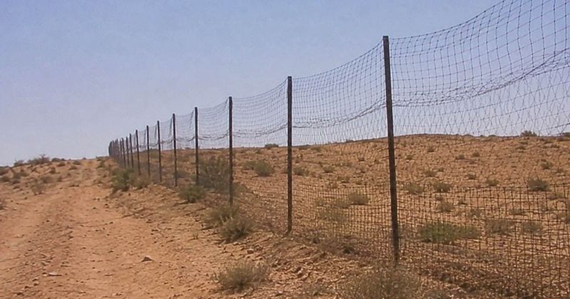 Kettészakadt világ a 6000 kilométeres kerítés mögött: az ausztrálok döntésének ára most válik igazán láthatóvá