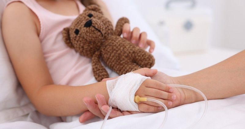 Mérgező növény miatt került veszélybe több óvodás, aggódnak a szülők Várpalotán