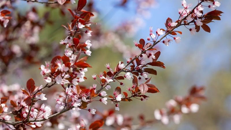 Húsvéti időjárás: így befolyásolhatja a hosszú hétvégéd hangulatát