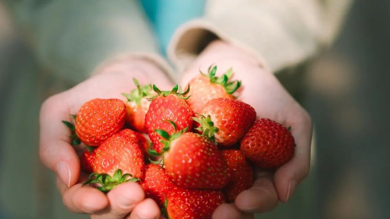 Import gyümölcs magyar eperként: így csapják be a vásárlókat a piacokon