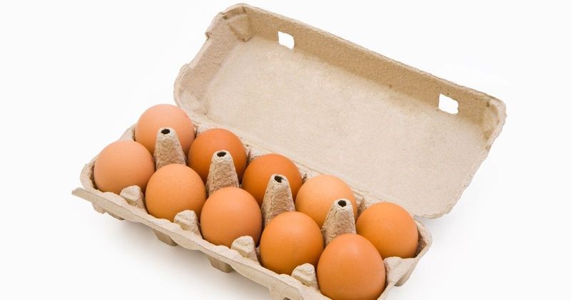 Tojásvásárlás: A rejtett veszélyek, amikre senki sem gondol!