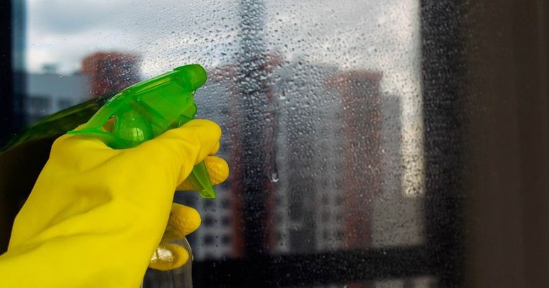 Felejtsd el a csíkokat: a profi takarítók varázslatos ablaktisztító trükkje