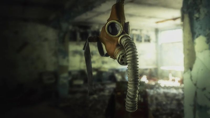 Különös gomba jelent meg Csernobilban, új reményt adhat a természetnek