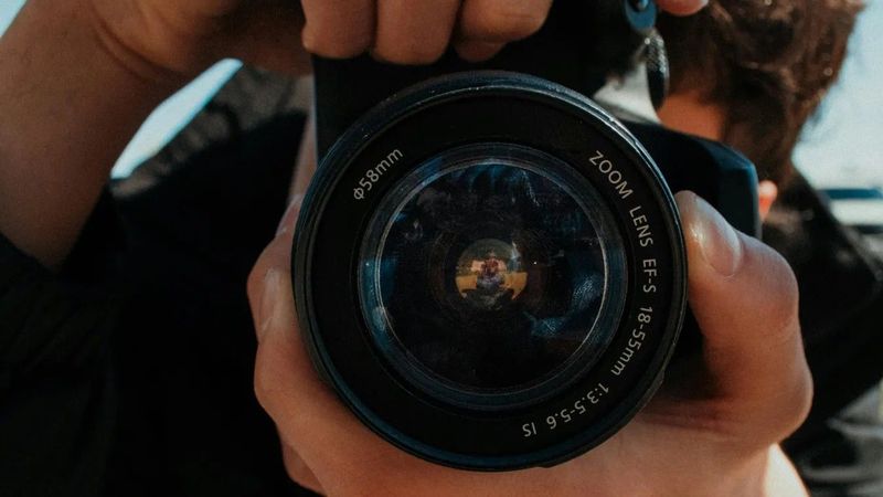 Ritka szellemmedvék kerültek lencsevégre, új remény ébred a faj megmentésére