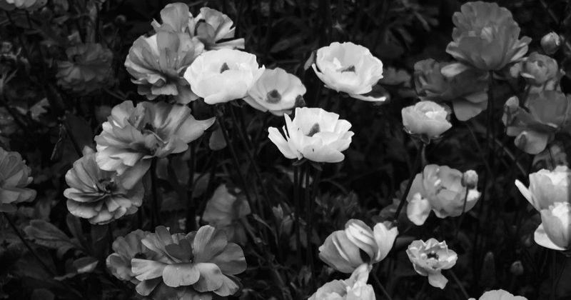 Mabel Montes tragikus búcsúja: a televíziózás csillaga 50 évesen távozott