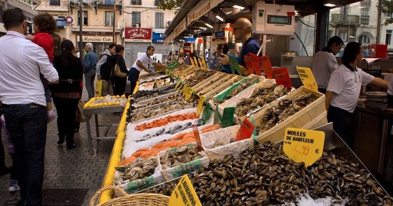 Rejtélyes veszély: Miért hódít Európában a világ legrosszabb hala?