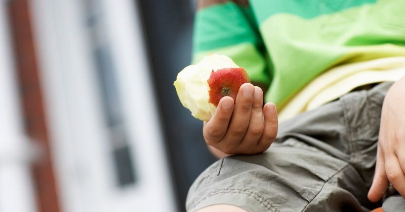 Almacsutka az autóból: váratlan veszélyekkel járhat, ha kidobod az ablakon
