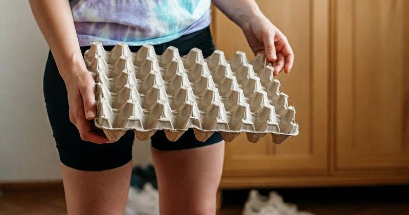 5 zseniális ok, amiért télen tojástartó kell az előszobába!