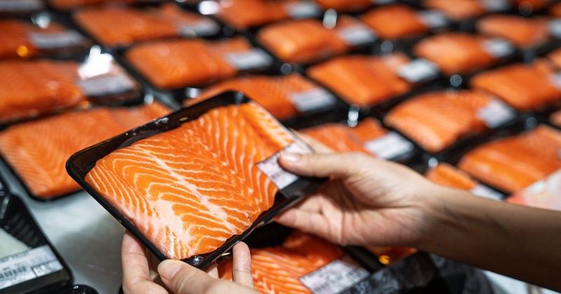 Tenyésztett lazac: Vajon meddig maradhat a tányérunkon?
