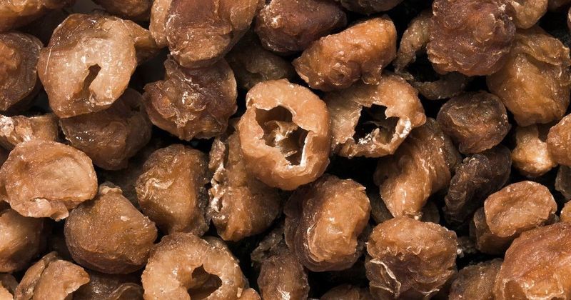 A penészek rejtett veszélye a konyhában, ami az egészségedet is fenyegetheti