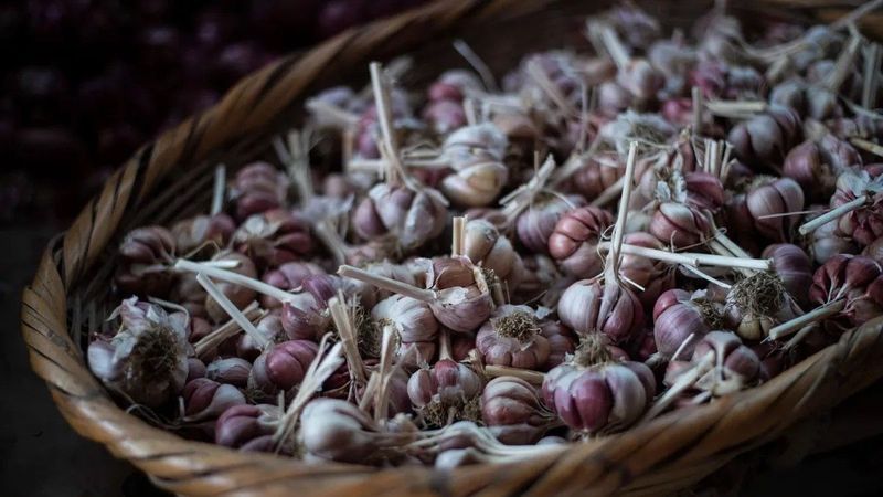 Így lassíthatod az öregedést a kénben gazdag ételekkel, meglepő hatások a szervezetre
