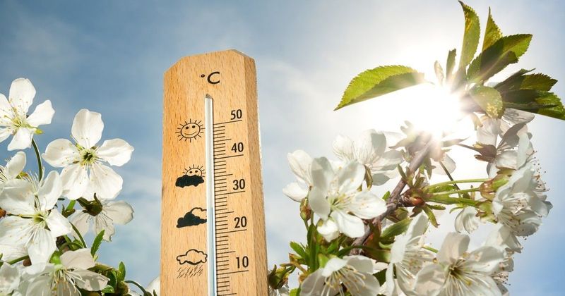 Elképesztő időjárási fordulat: 18 fokos tavaszi varázslat érkezik!