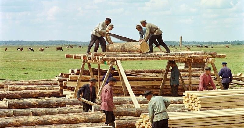 A varrónő, aki 2 millió férfit "fosztott meg" keresetétől – és még hálásak is lehetnek érte!