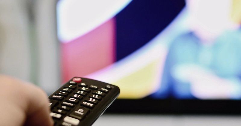 Cápák között: A drámai döntés, ami mindent megváltoztatott!