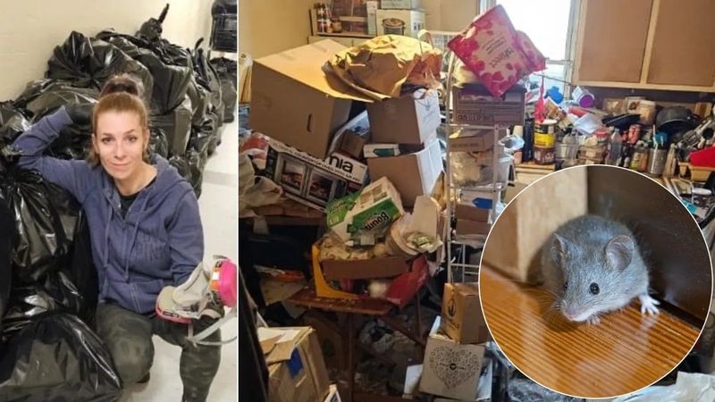 Egérinvázióval küzdött az extrém takarítónő, elképesztő kihívás várt rá a lakásban