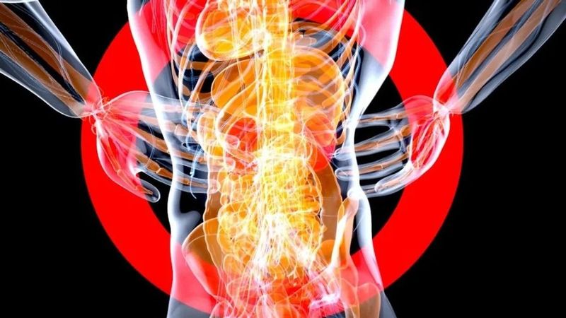 Egyre többeket érint a májbetegség, a következmények súlyosbodhatnak világszerte