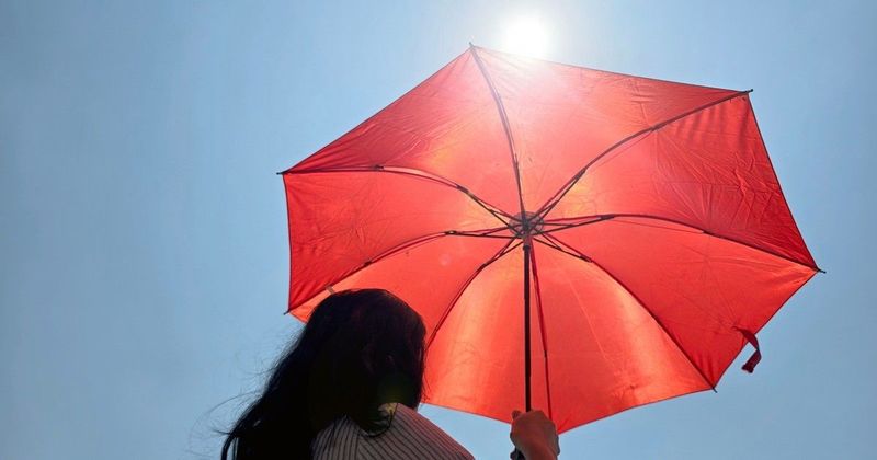 Kánikula tartós ostroma előtt állunk: az elkövetkező napok mindenkit próbára tehetnek, ha nem vagy felkészült
