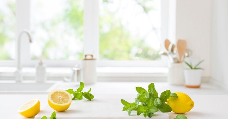 Két egyszerű trükk a konyhában, amivel búcsút inthetsz a bogaraknak