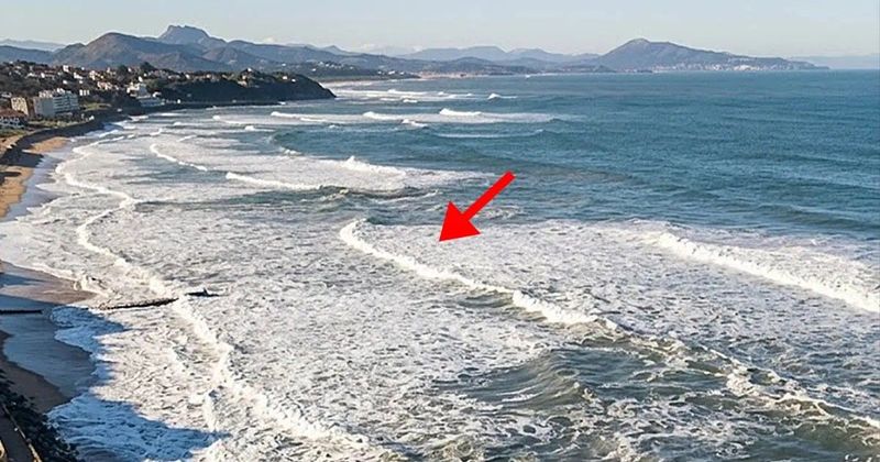 Tengerparti rémálom: Miért veszélyesebb a sodrás, mint a cápák?