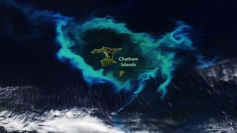 A csodásan fénylő óceán veszélye: bálnák élete forog kockán a mélyben