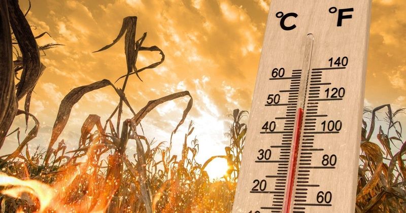 Vízhiány rémálom: A NASA szerint 2026 nyarán súlyos krízis fenyeget Közép-Európában!