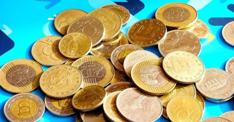 Hihetetlen! Ez az 50 forintos érme félmilliót érhet a zsebedben!