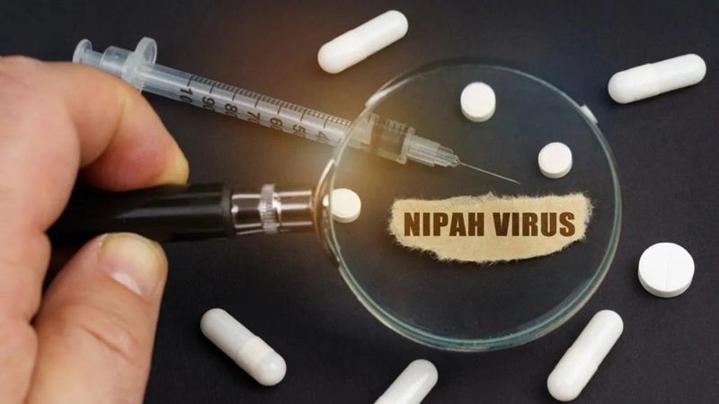 Nipah-vírus: Rejtélyes fenyegetés vagy felesleges pánik? Az igazság nyomában