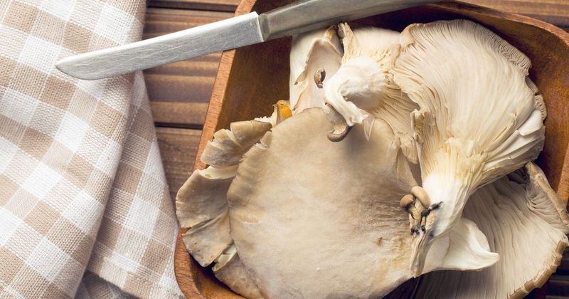 Friss gombák napokig, egy egyszerű trükk változást hozhat a konyhában