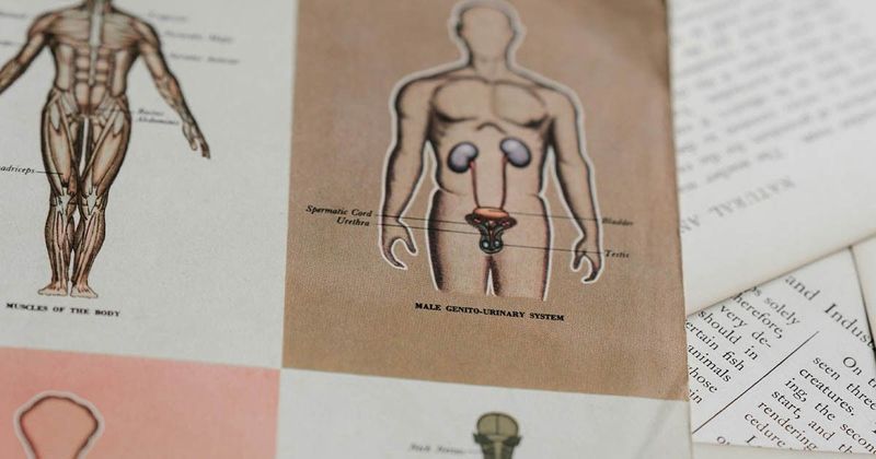 20 rejtély az emberi testben, ami még az orvosokat is zavarba ejti!