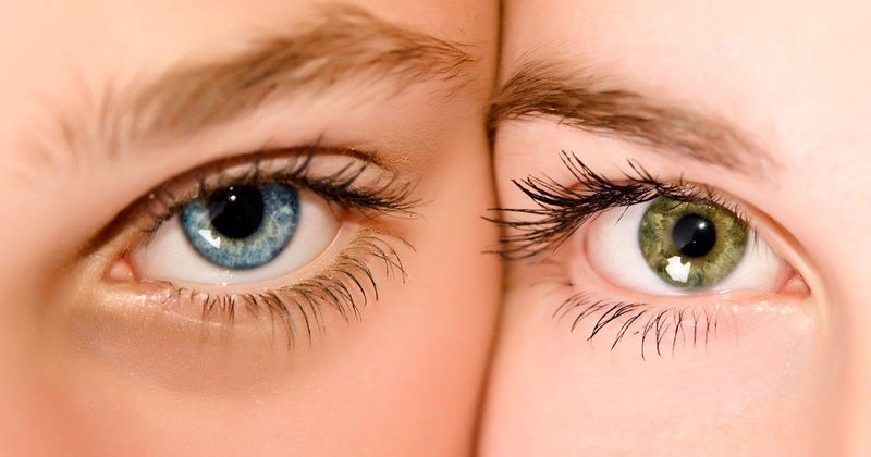 Felejtsd el a zöldet és kéket: a titokzatos szemszín, ami meghódítja a világot