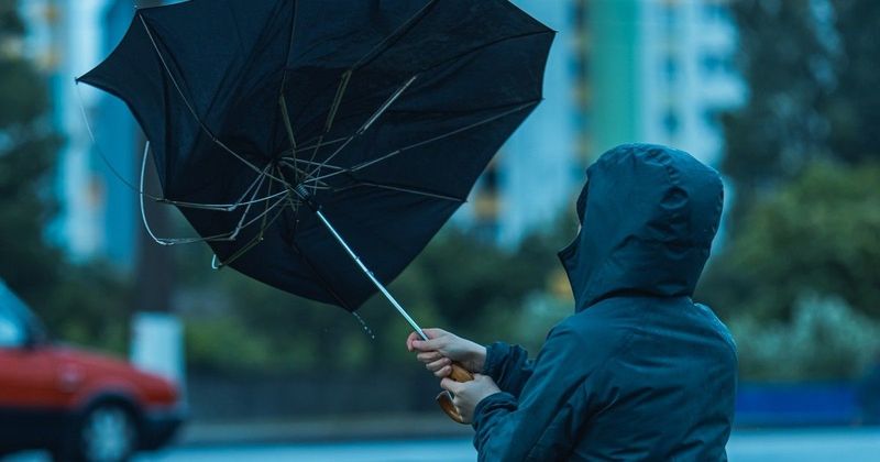 Az országot sújtó időjárás miatt a hírességek is nehéz helyzetbe kerültek
