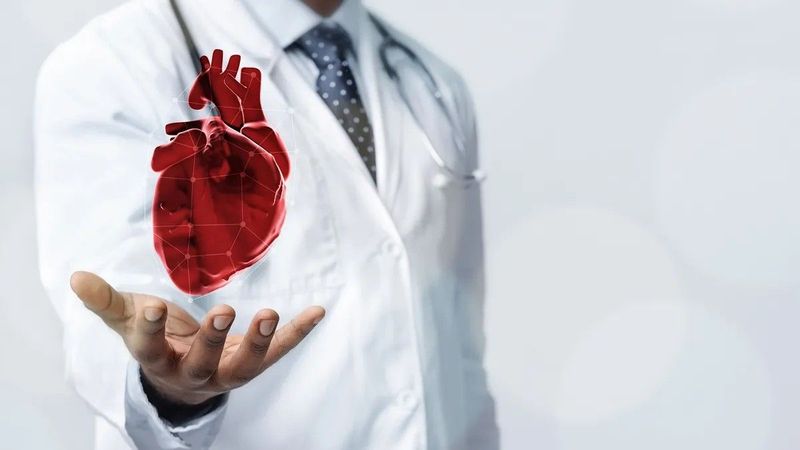 A szív valódi kora meglepő lehet, egészségünk múlhat rajta