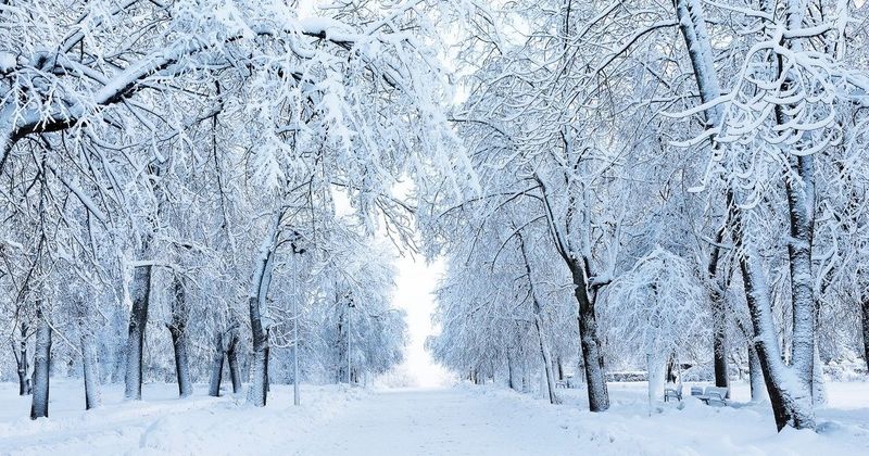 Február 3-tól: Az időjárás, ami mindent megváltoztat!