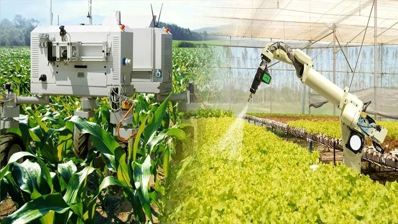 Kína forradalmi lépése: az autonóm farmok új korszaka kezdődött