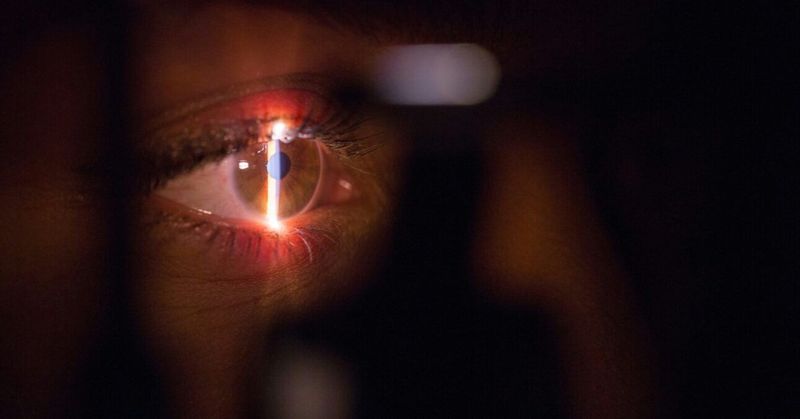 A tudományos Oscart elnyerő kutatópár különös találkozása, ami mindent megváltoztatott