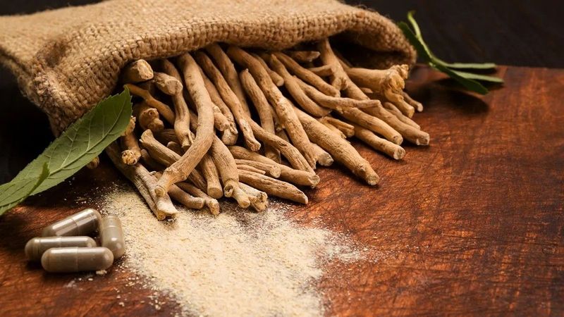 Fedezd fel az indiai csodát: az ashwagandha titka a stressz és fáradtság ellen