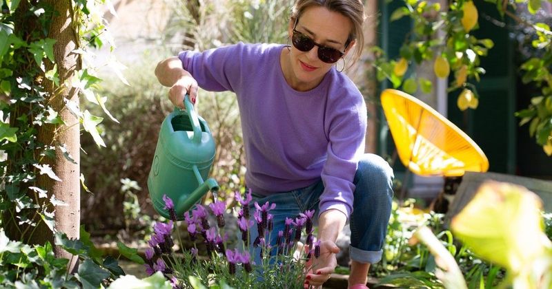 Egy kertész tippje, amivel a kerted ellenállóbb lesz a kártevőkkel szemben