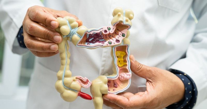 Vakbél: Az orvosok tévedtek! Felfedezték a szerv titkos szerepét!