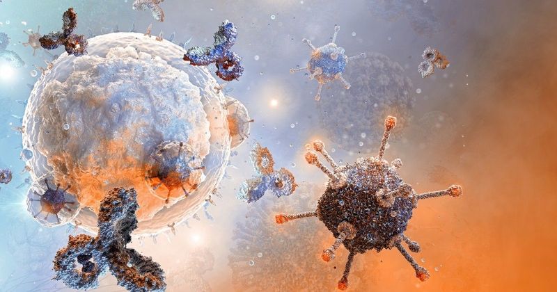 Aggasztó járvány terjed, az ízületek is veszélybe kerülhetnek Európában