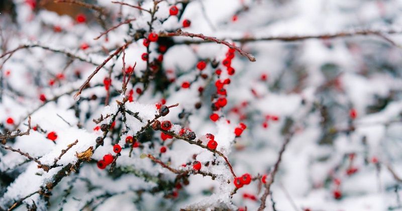 Hétvégi időjárás: Tavaszi csoda vár ránk, amit nem szabad kihagyni!