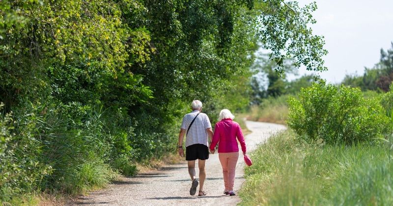 Fedezd fel a napi 20 perces séta varázslatos hatásait a testedre!