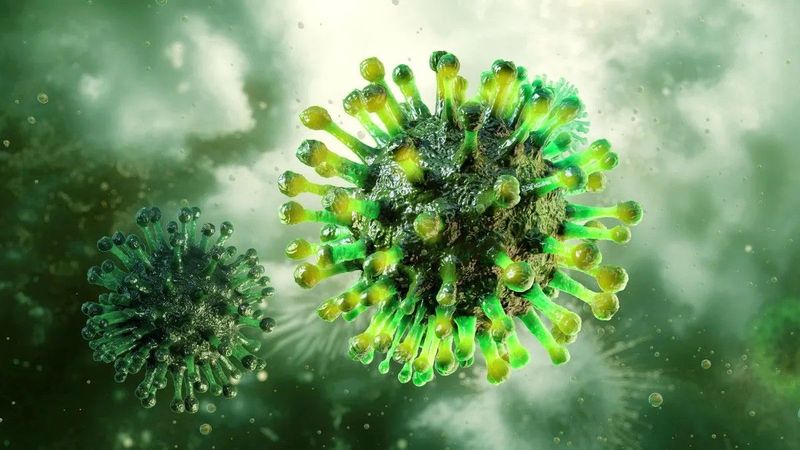 Meglepő felfedezés az influenza elleni harcban, új remény a védekezésben