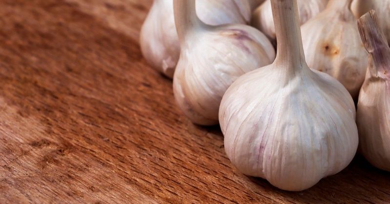 Fokhagyma az ágyban? Az éjszakai csoda, amit nem hittél volna!