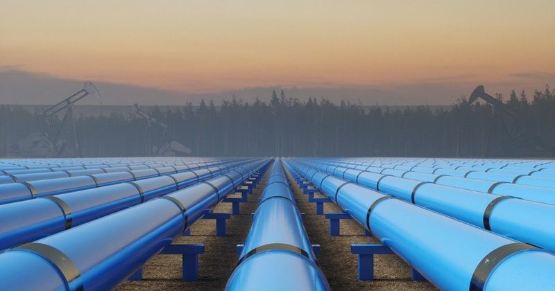 Környezetpusztító olajbotrány: A cseh mustárolaj gyártását leállítják!