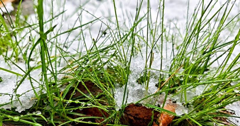 Márciusi időjárási káosz: felkészültél a váratlan fordulatokra?